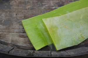 What are the benefits of aloe vera