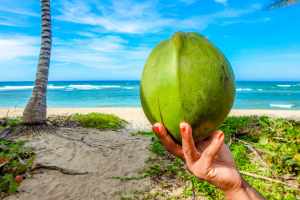 Top 20 Benefits and Side Effects of Coconut Water